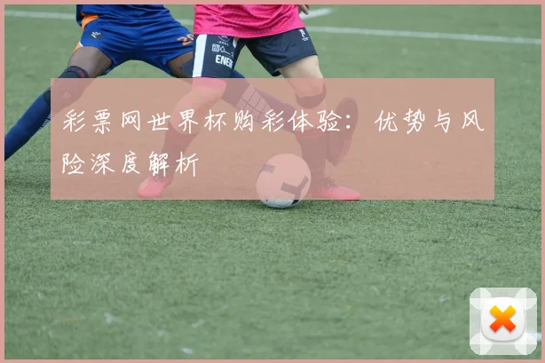 彩票网世界杯购彩体验:优势与风险深度解析