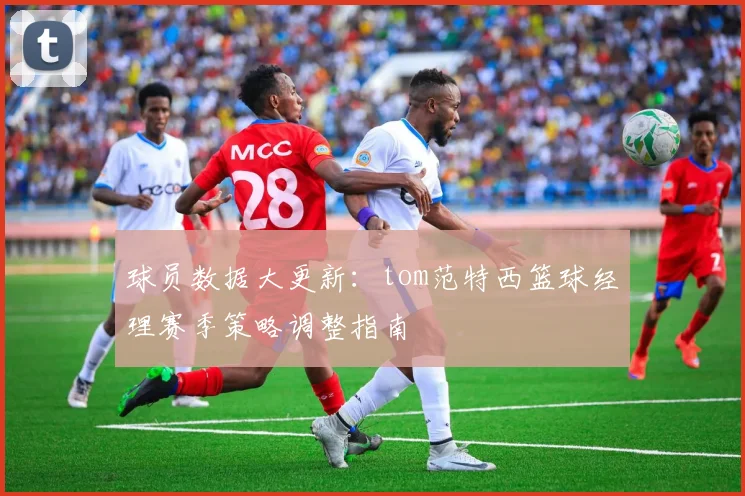 球员数据大更新：tom范特西篮球经理赛季策略调整指南