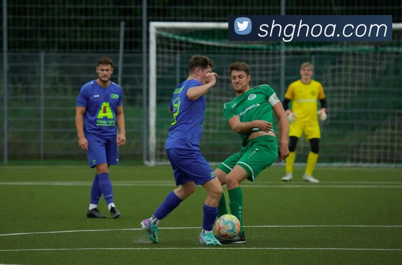 App Interface Preview